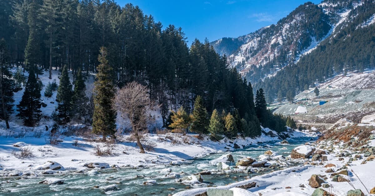 Sonmarg Kashmir with a snow-covered mountain valley, pine forests and a flowing mountain stream